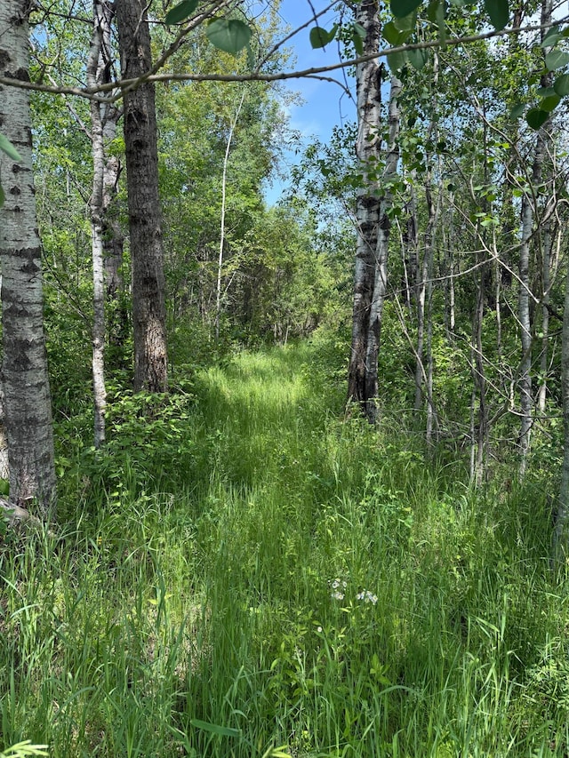 TBD 390th Ave, Linsell Twp, MN 56724 - photo 75