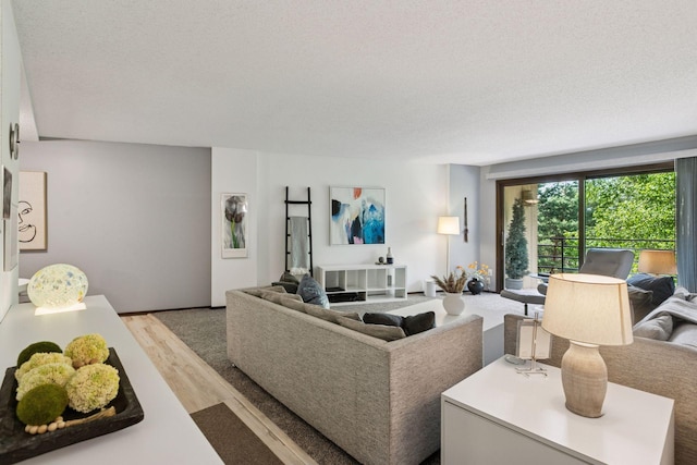 1200 Nicollet Mall Unit 409, Minneapolis, MN 55403 - living room with wood finished floors and a textured ceiling