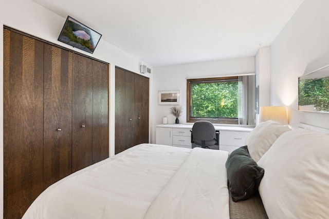 1200 Nicollet Mall Unit 409, Minneapolis, MN 55403 - bedroom featuring two closets, multiple windows, and built in desk