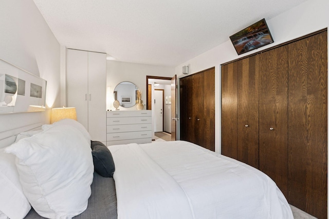 1200 Nicollet Mall Unit 409, Minneapolis, MN 55403 - bedroom featuring multiple closets