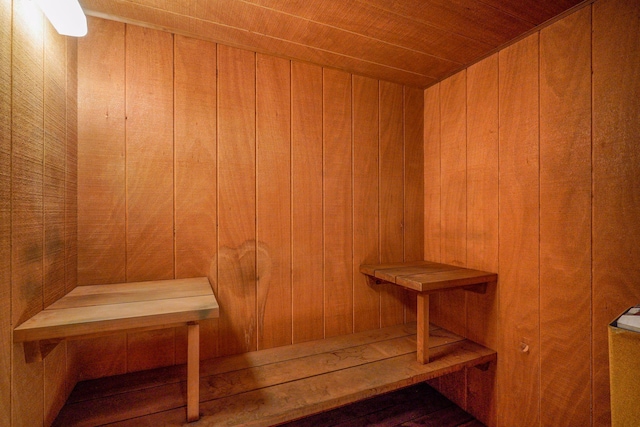 1200 Nicollet Mall Unit 409, Minneapolis, MN 55403 - sauna featuring wooden walls and wooden ceiling