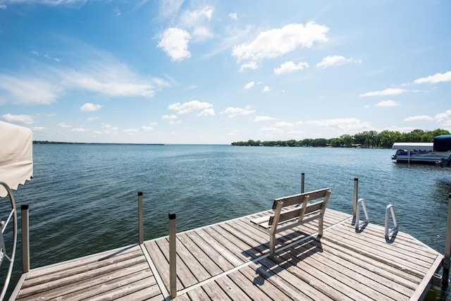 28832 Shore Dr, Starbuck, MN 56381 - photo 30