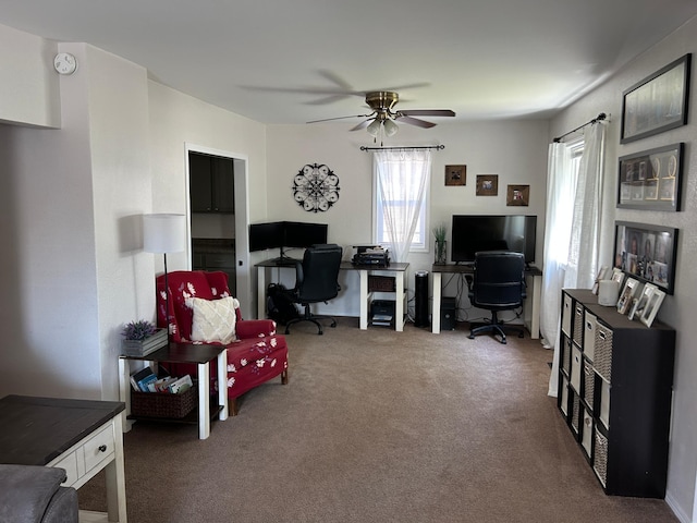 20 King Ave SW, Wadena, MN 56482 - carpeted living room with an office area and a ceiling fan