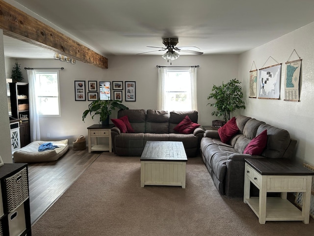 20 King Ave SW, Wadena, MN 56482 - living area with plenty of natural light, ceiling fan, and wood finished floors