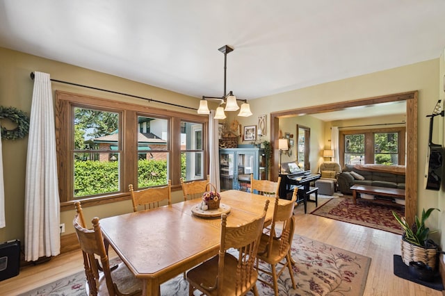 205 Ramsey Pl, Saint Cloud, MN 56301 - photo 8
