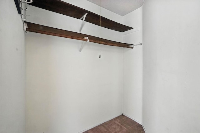 2485 Canabury Dr Unit 116, Little Canada, MN 55117 - spacious closet with carpet floors