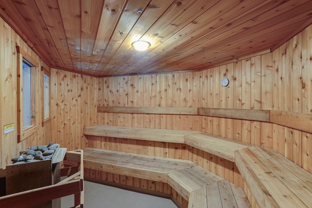 2485 Canabury Dr Unit 116, Little Canada, MN 55117 - relaxing sauna / steam room featuring wooden walls, carpet flooring, and wood ceiling