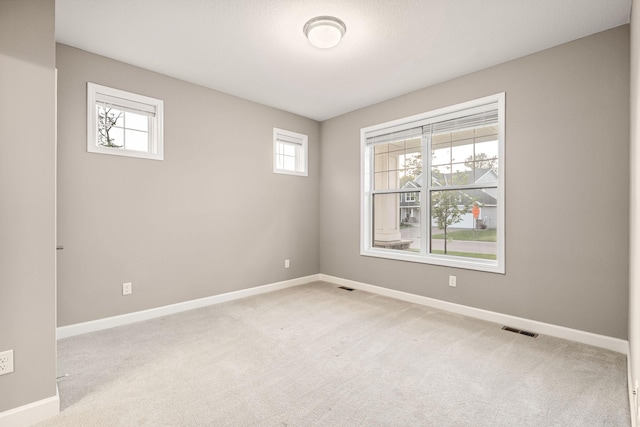 2177 Paisley Path, Chanhassen, MN 55317 - photo 18