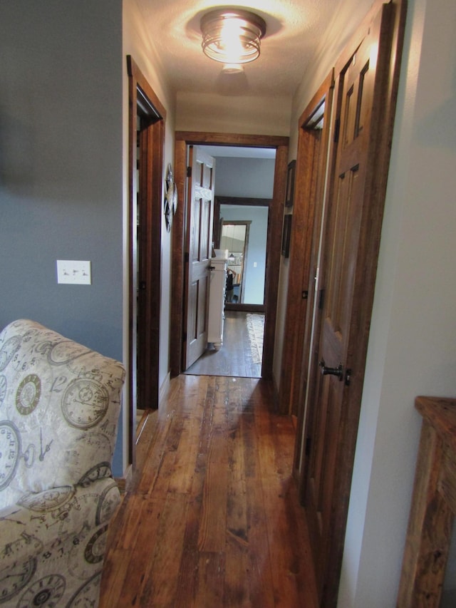 1103 15th St, Montevideo, MN 56265 - hallway with wood-type flooring