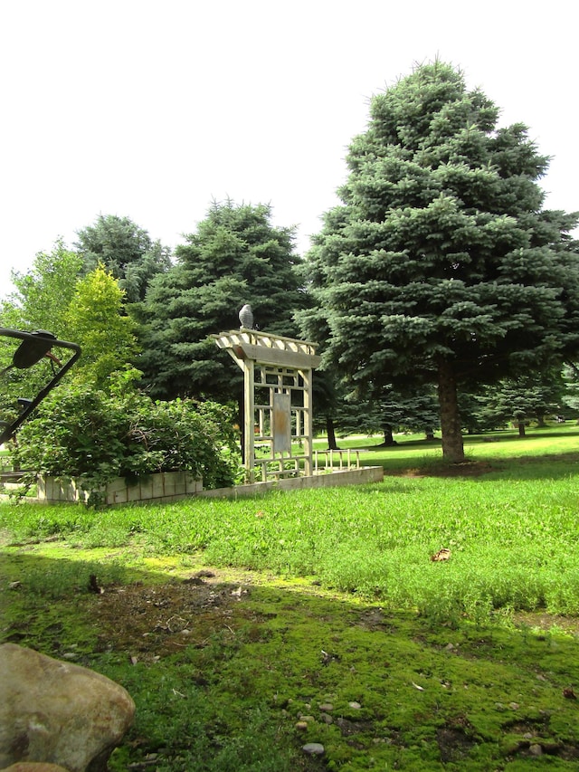 1103 15th St, Montevideo, MN 56265 - view of yard