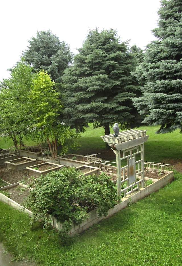 1103 15th St, Montevideo, MN 56265 - view of grassy yard featuring a vegetable garden