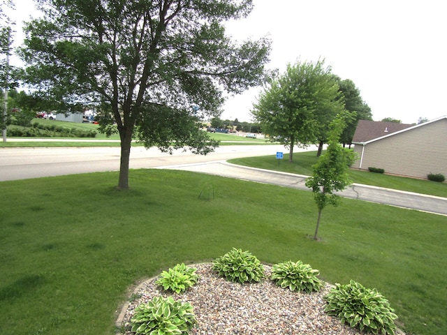 1103 15th St, Montevideo, MN 56265 - view of grassy yard