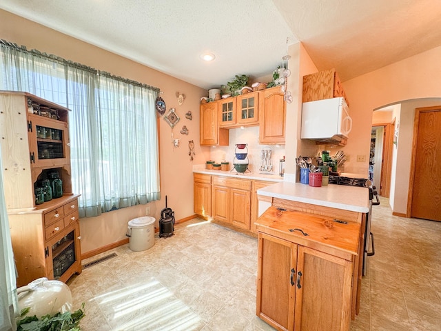 915 Stanton Ave, Fergus Falls, MN 56537 - kitchen featuring arched walkways, white microwave, light countertops, plenty of natural light, and a textured ceiling