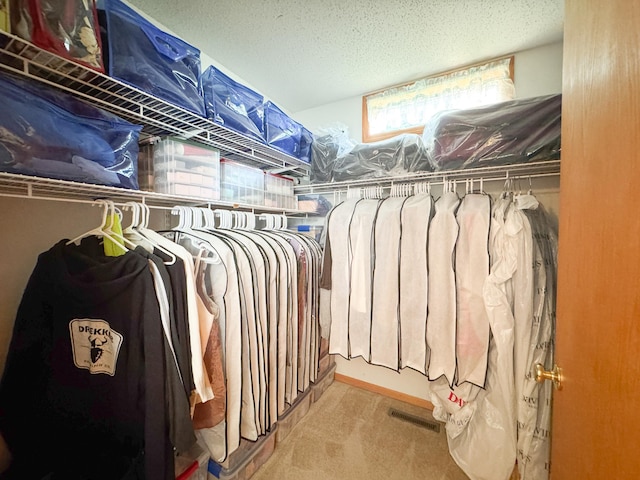 915 Stanton Ave, Fergus Falls, MN 56537 - spacious closet with carpet