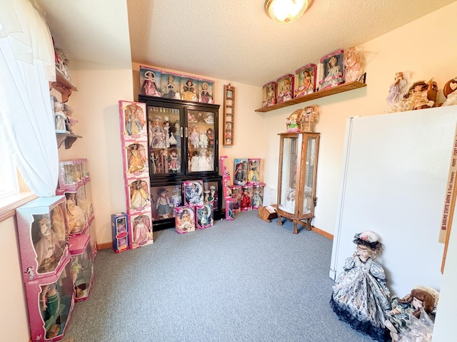 915 Stanton Ave, Fergus Falls, MN 56537 - rec room featuring carpet floors and a textured ceiling