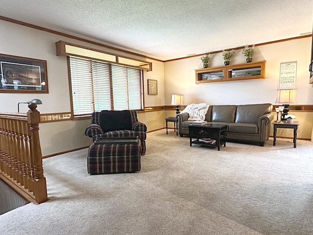 8180 Diane St, Circle Pines, MN 55014 - carpeted living area featuring ornamental molding and a textured ceiling