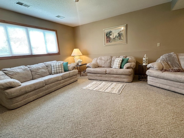 8180 Diane St, Circle Pines, MN 55014 - carpeted living room with a textured ceiling