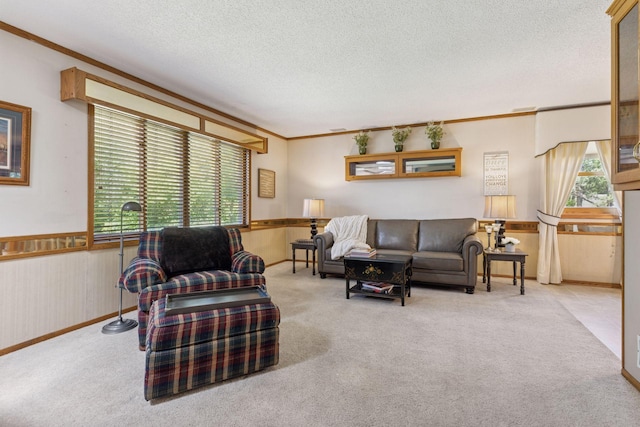 8180 Diane St, Lino Lakes, MN 55014 - photo 6