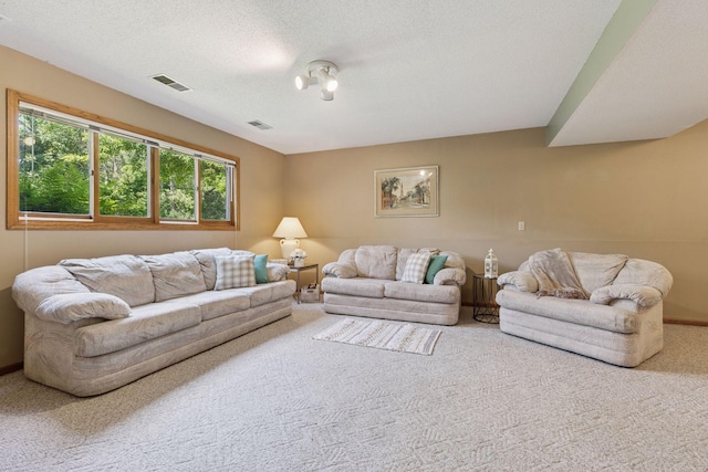 8180 Diane St, Lino Lakes, MN 55014 - photo 20