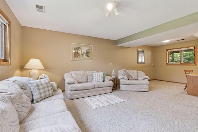 8180 Diane St, Lino Lakes, MN 55014 - photo 21