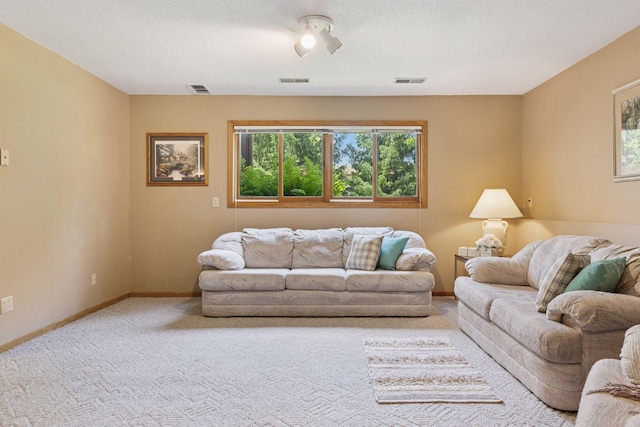 8180 Diane St, Lino Lakes, MN 55014 - photo 22