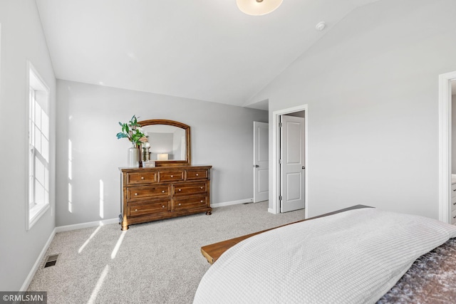1013 2nd St NW, Delano, MN 55328 - bedroom with carpet flooring and high vaulted ceiling
