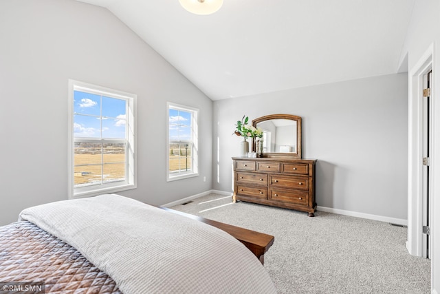 1013 2nd St NW, Delano, MN 55328 - carpeted bedroom featuring vaulted ceiling and baseboards