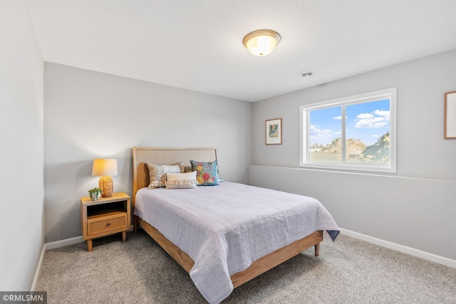 1013 2nd St NW, Delano, MN 55328 - bedroom with light colored carpet and baseboards