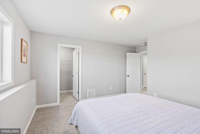1013 2nd St NW, Delano, MN 55328 - bedroom with carpet flooring, a walk in closet, and a closet