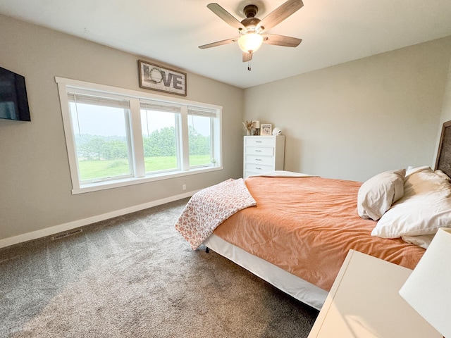 24718 Elbow Rd, Pelican Rapids, MN 56572 - bedroom featuring carpet and a ceiling fan
