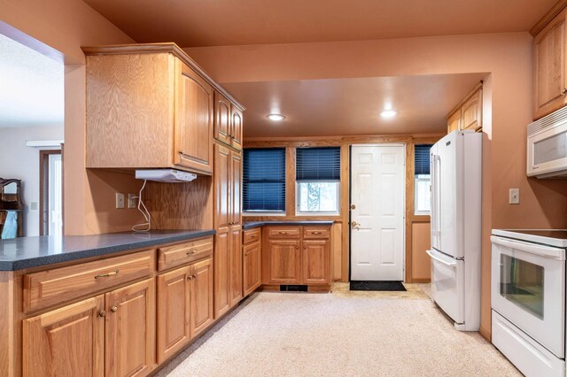 17 2nd Ave NW, Elbow Lake, MN 56531 - photo 4