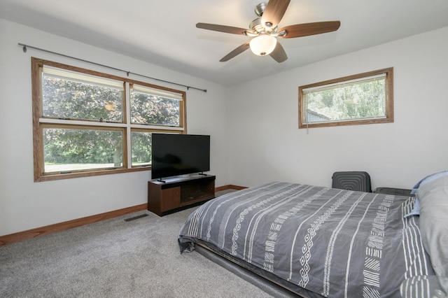 W224S9735 Big Bend Dr, Vernon, WI 53103 - bedroom featuring multiple windows, carpet, and ceiling fan