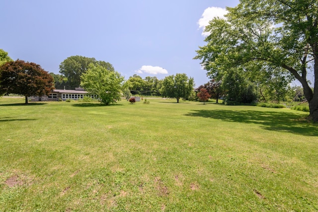 W224S9735 Big Bend Dr, Vernon, WI 53103 - view of green lawn