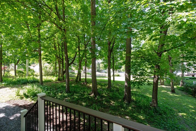 3815 Deephaven Ave, Deephaven, MN 55391 - view of yard