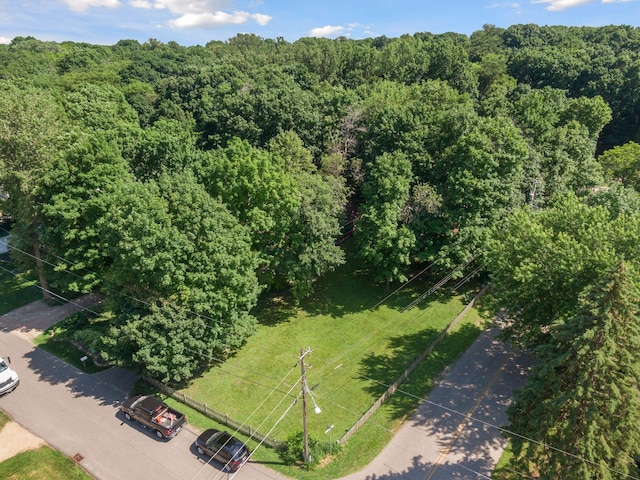 3815 Deephaven Ave, Deephaven, MN 55391 - bird's eye view of a heavily wooded area