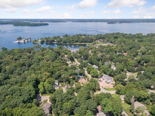 3815 Deephaven Ave, Deephaven, MN 55391 - drone / aerial view of a nearby body of water and a forest