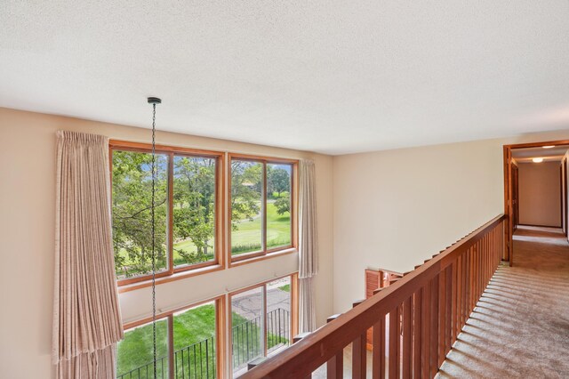 1632 Spruce Dr, Red Wing, MN 55066 - photo 18