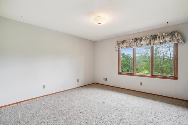 1632 Spruce Dr, Red Wing, MN 55066 - photo 21