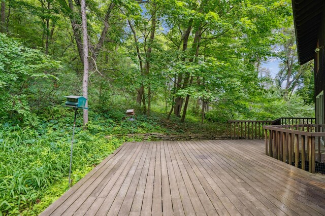1632 Spruce Dr, Red Wing, MN 55066 - photo 27