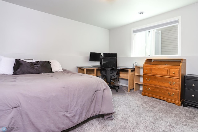 6870 17th St S, Fargo, ND 58104 - view of carpeted bedroom