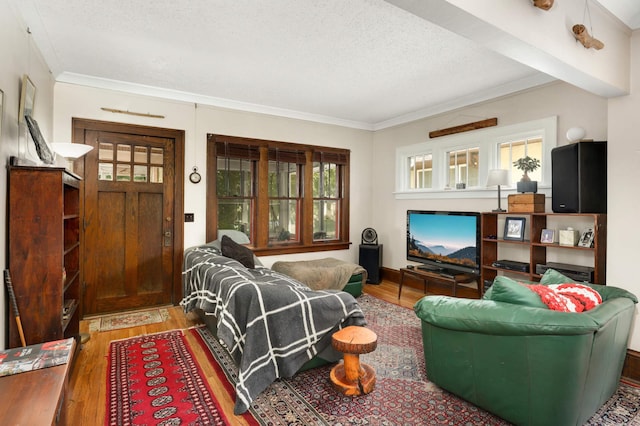 1914 Grand Ave, Saint Paul, MN 55105 - living room with wood finished floors, ornamental molding, and a textured ceiling