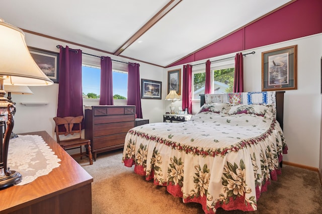 2160 35th Ave, Alden Twp, WI 54026 - bedroom with lofted ceiling and carpet