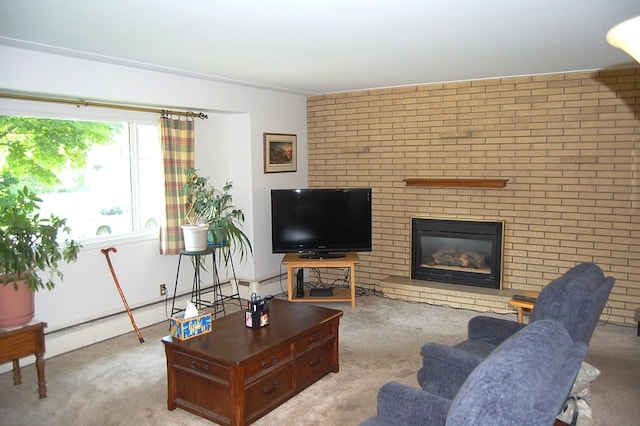 1445 Ottawa Ave S, Golden Valley, MN 55416 - living area featuring carpet and a fireplace