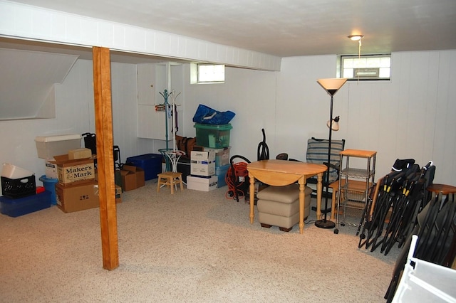 1445 Ottawa Ave S, Golden Valley, MN 55416 - view of below grade area