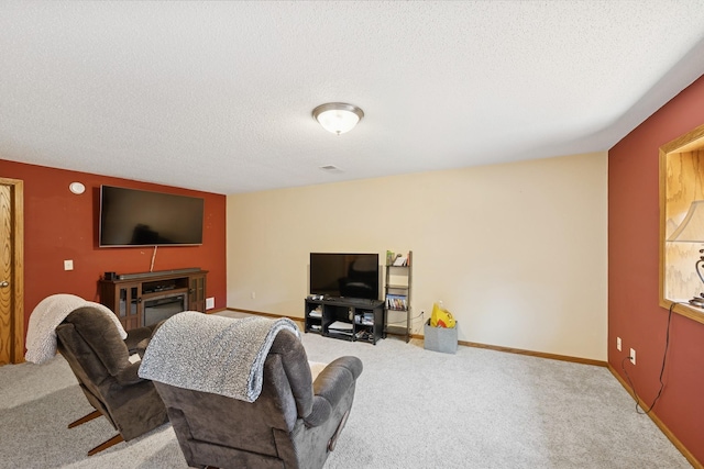 24482 18th Ave, Saint Augusta, MN 56301 - living area featuring carpet flooring, a textured ceiling, and a fireplace