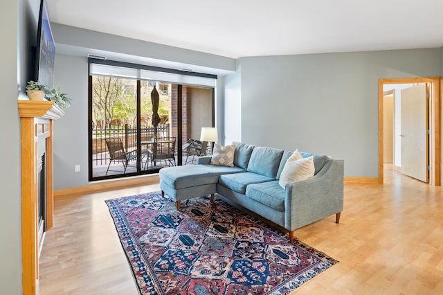317 Groveland Ave Unit 106, Minneapolis, MN 55403 - living room with wood finished floors and a fireplace