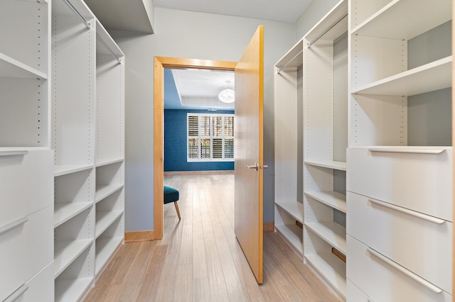 317 Groveland Ave Unit 106, Minneapolis, MN 55403 - walk in closet featuring light wood-type flooring