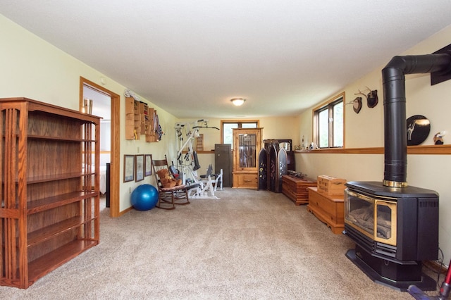 725 192nd St S, Hawley, MN 56549 - photo 30