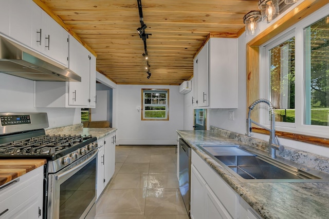 33027 County Road 50, Avon Twp, MN 56310 - kitchen with stainless steel appliances, rail lighting, wooden ceiling, plenty of natural light, and under cabinet range hood