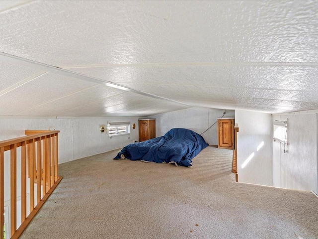 15827 Wilderness Trl Unit 30, Crosslake, MN 56442 - carpeted bedroom featuring a textured ceiling